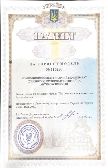 Сертифікат 1